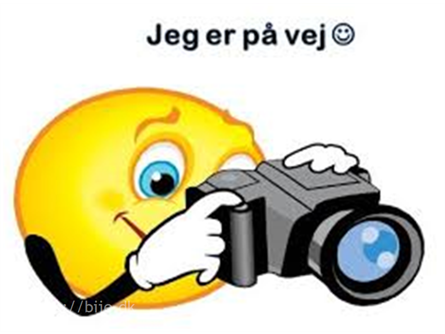 Vega 365 NT